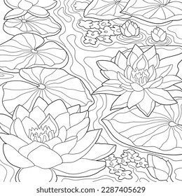 Water lilies form coloring book large àààààààààªàààà àààààààààààªààààà