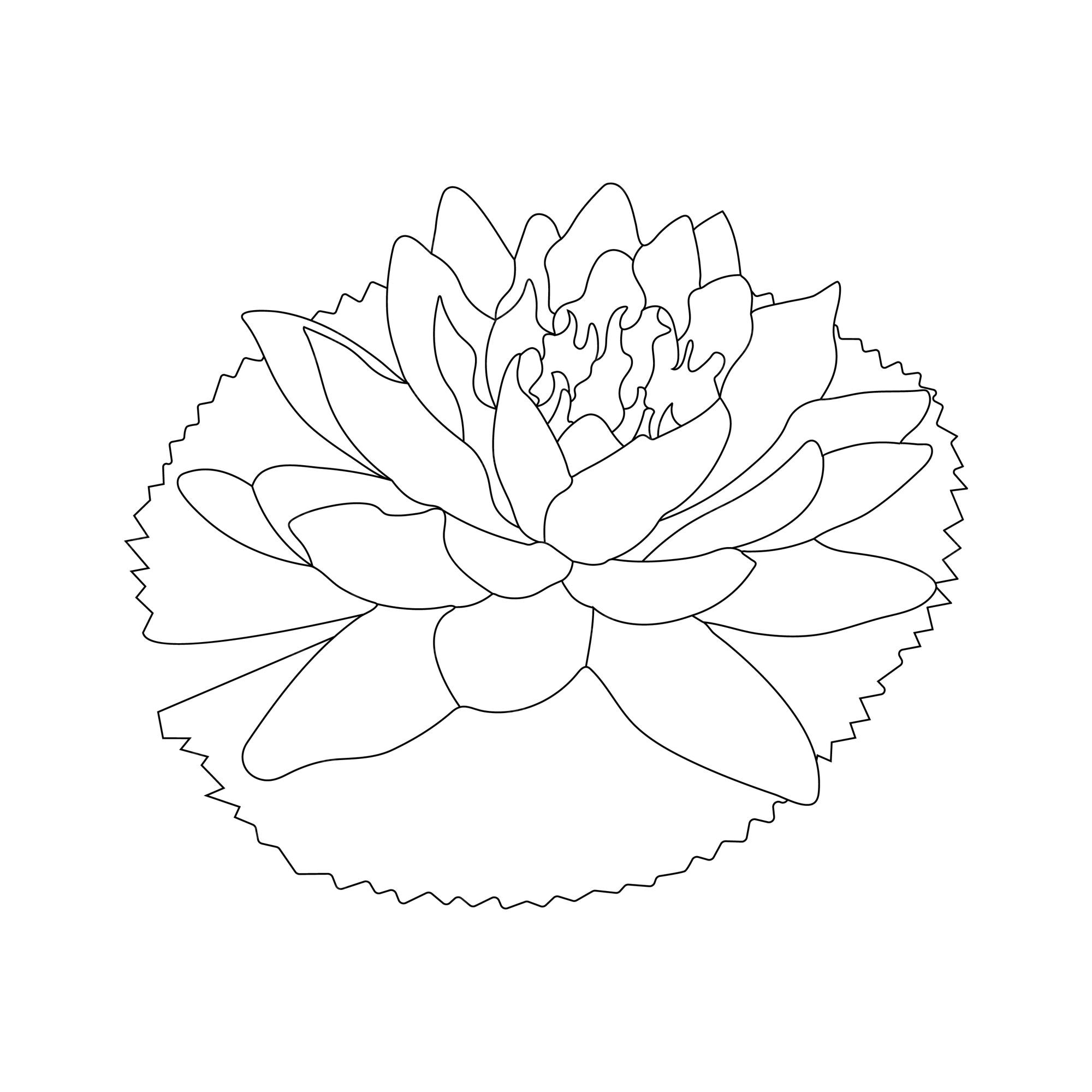 Premium vector water lily coloring page and line art flower sketch with flower vector illustration