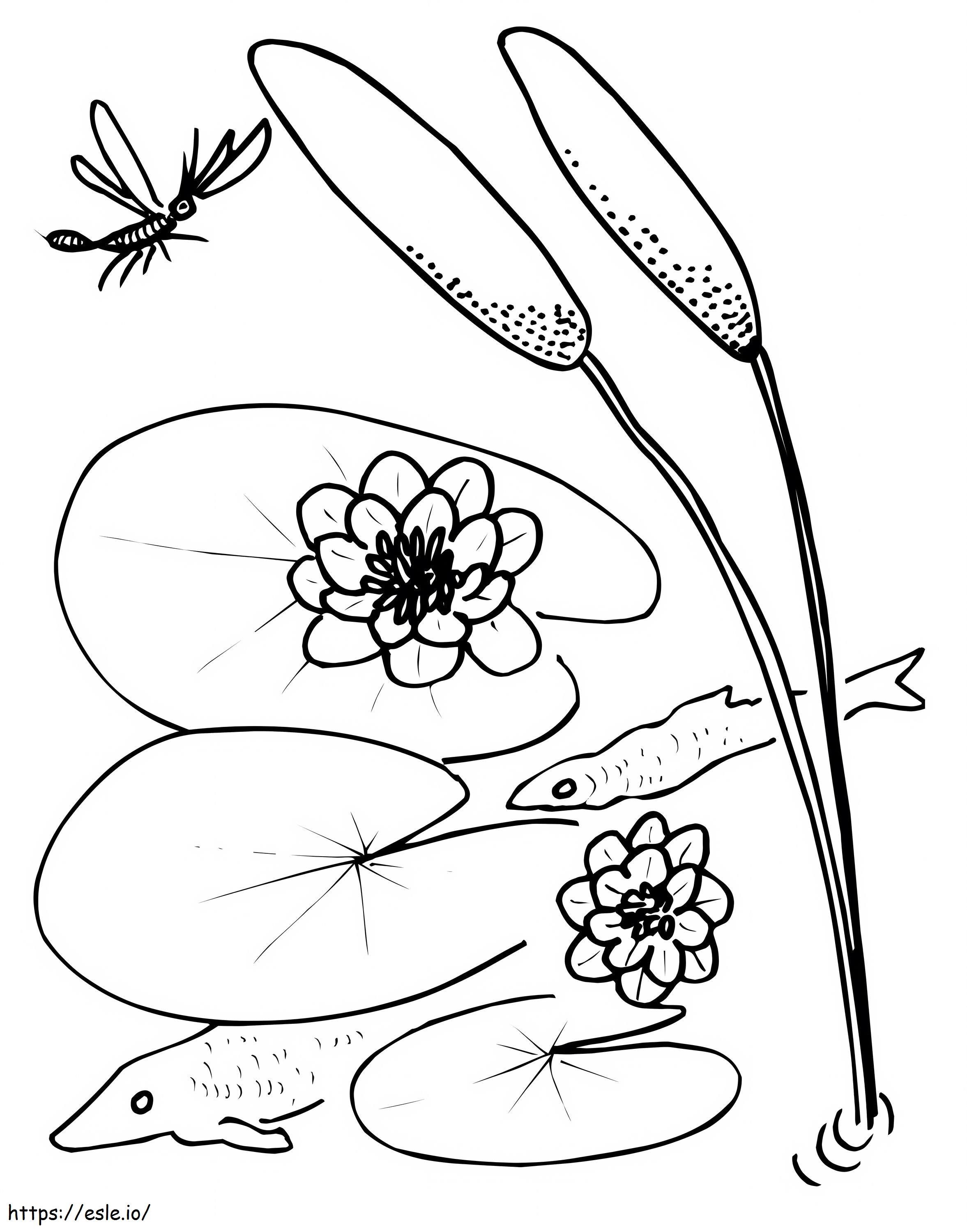 Bee and lily pad coloring page