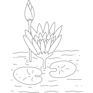 Lilypad flowers coloring page