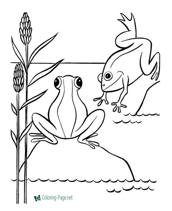 Frog coloring pages frogs on lilypad