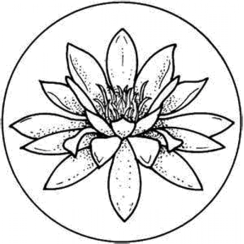 Lily pad art acetate â paper crafting with stamp on it