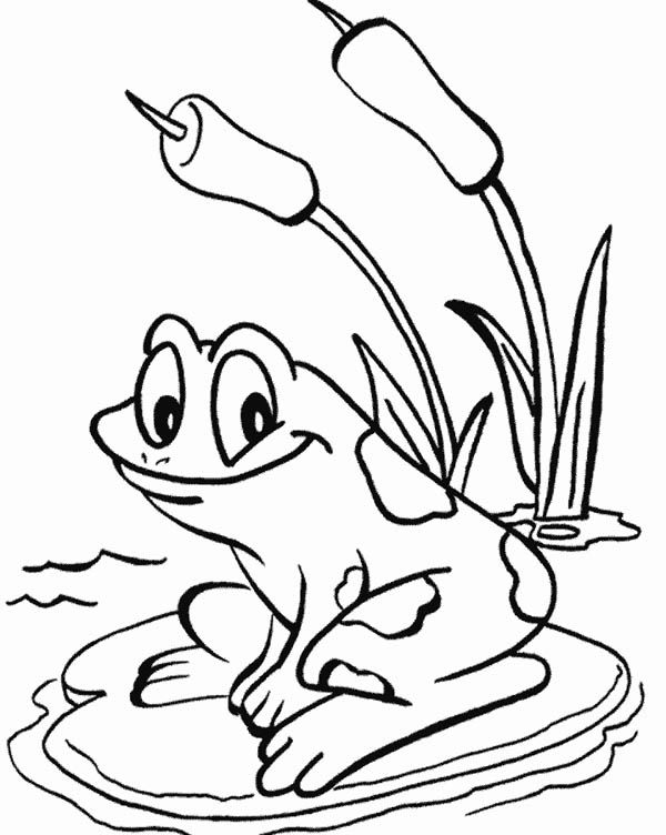 Lily pad frog love to sit on lily pad coloring page frog coloring pages animal coloring pages puppy coloring pages