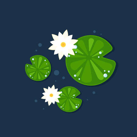 Lily pads stock illustrations cliparts and royalty free lily pads vectors