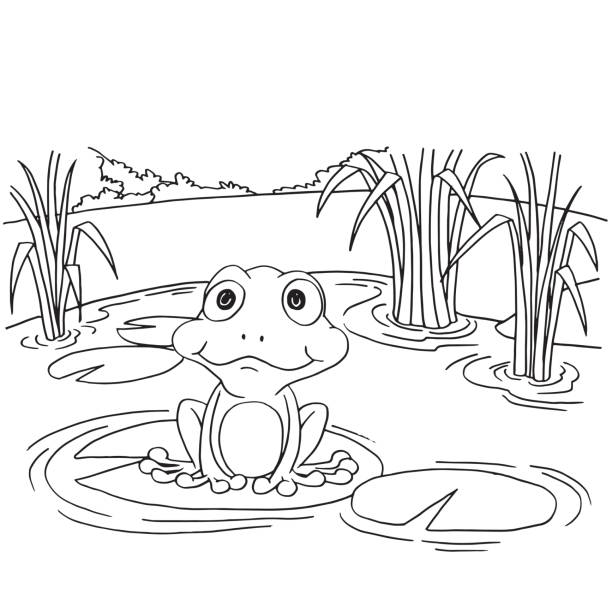 Frog tongue drawing stock illustrations royalty
