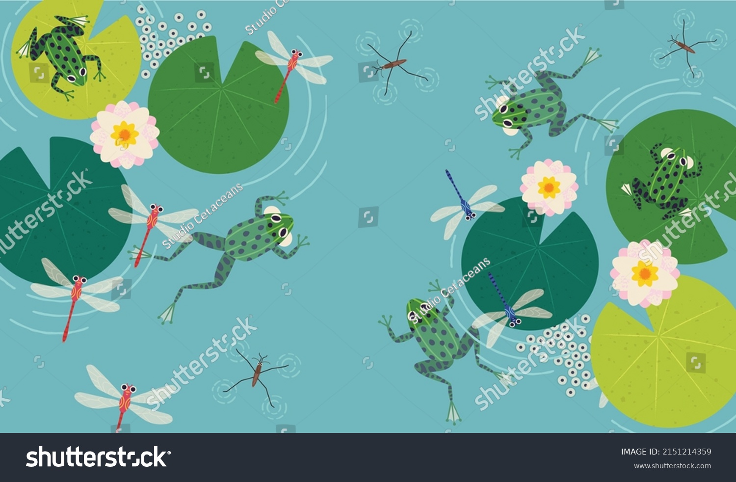 Frog lotus stock photos
