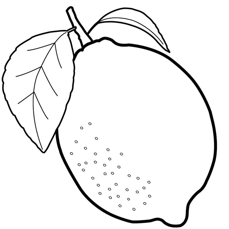 Limon para colorear e imprimir dibujo frutas para colorear dibujos de frutas manualidad en tela