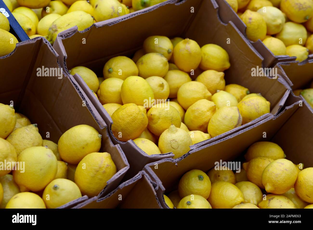 Fondos de pantalla limon arte fotografãas e imãgen de alta roluciãn