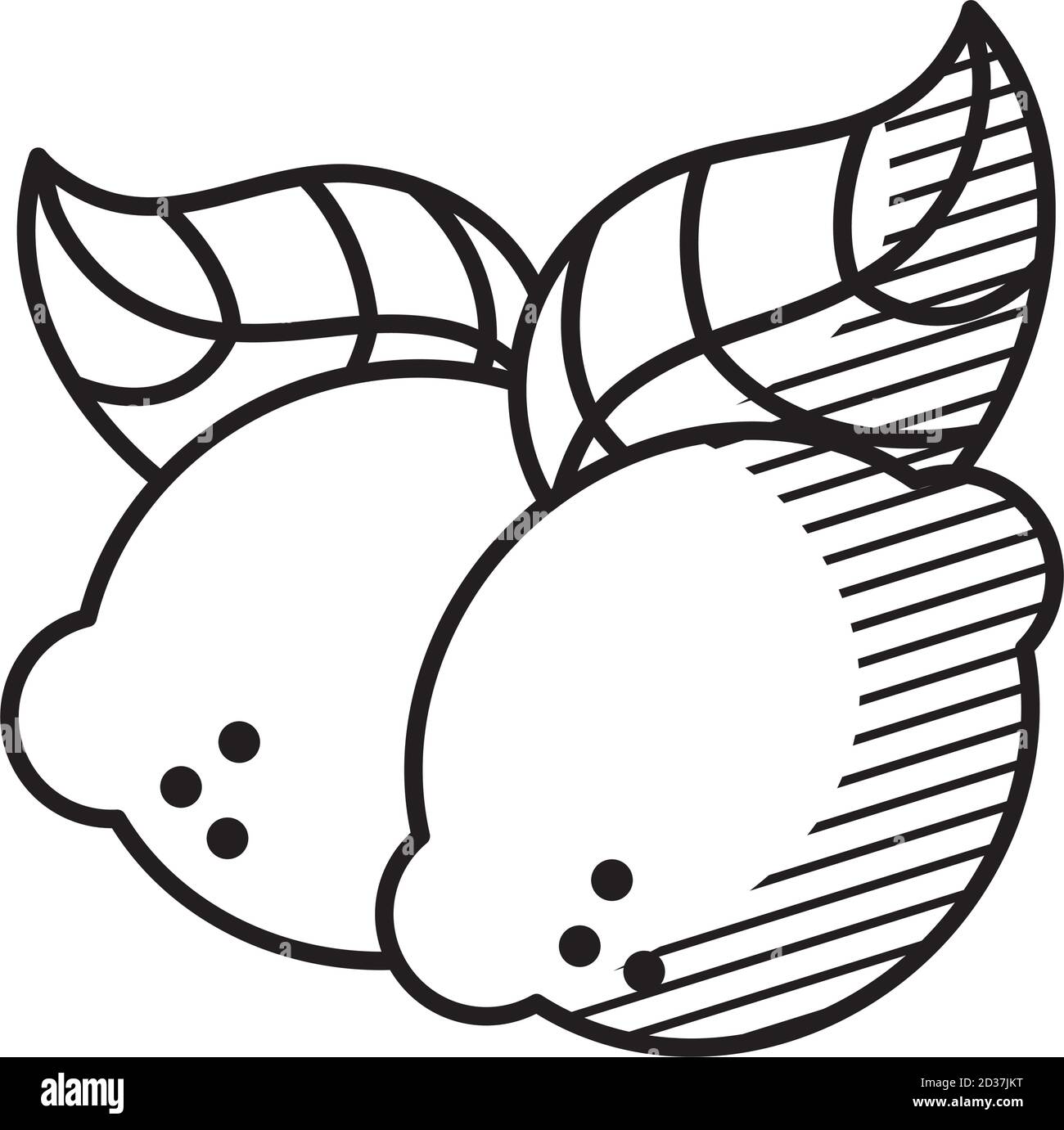 Limon imãgen de stock en blanco y negro