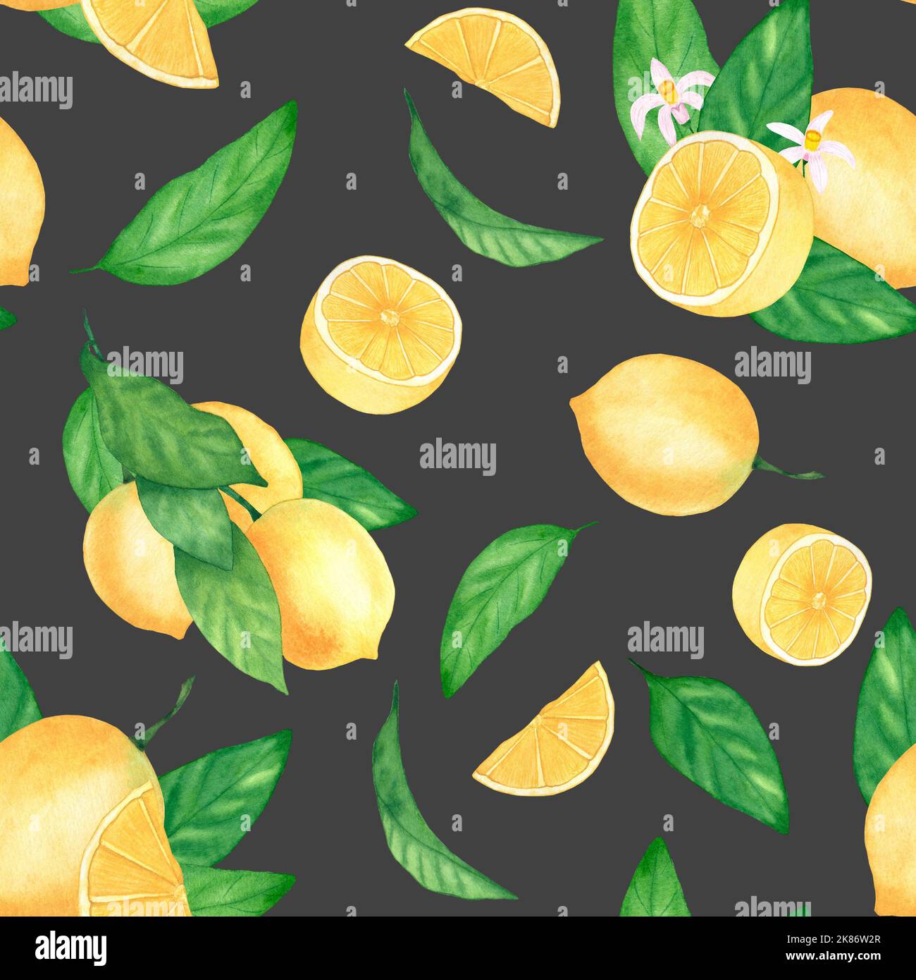 Impriãn de limon fotografãas e imãgen de alta roluciãn