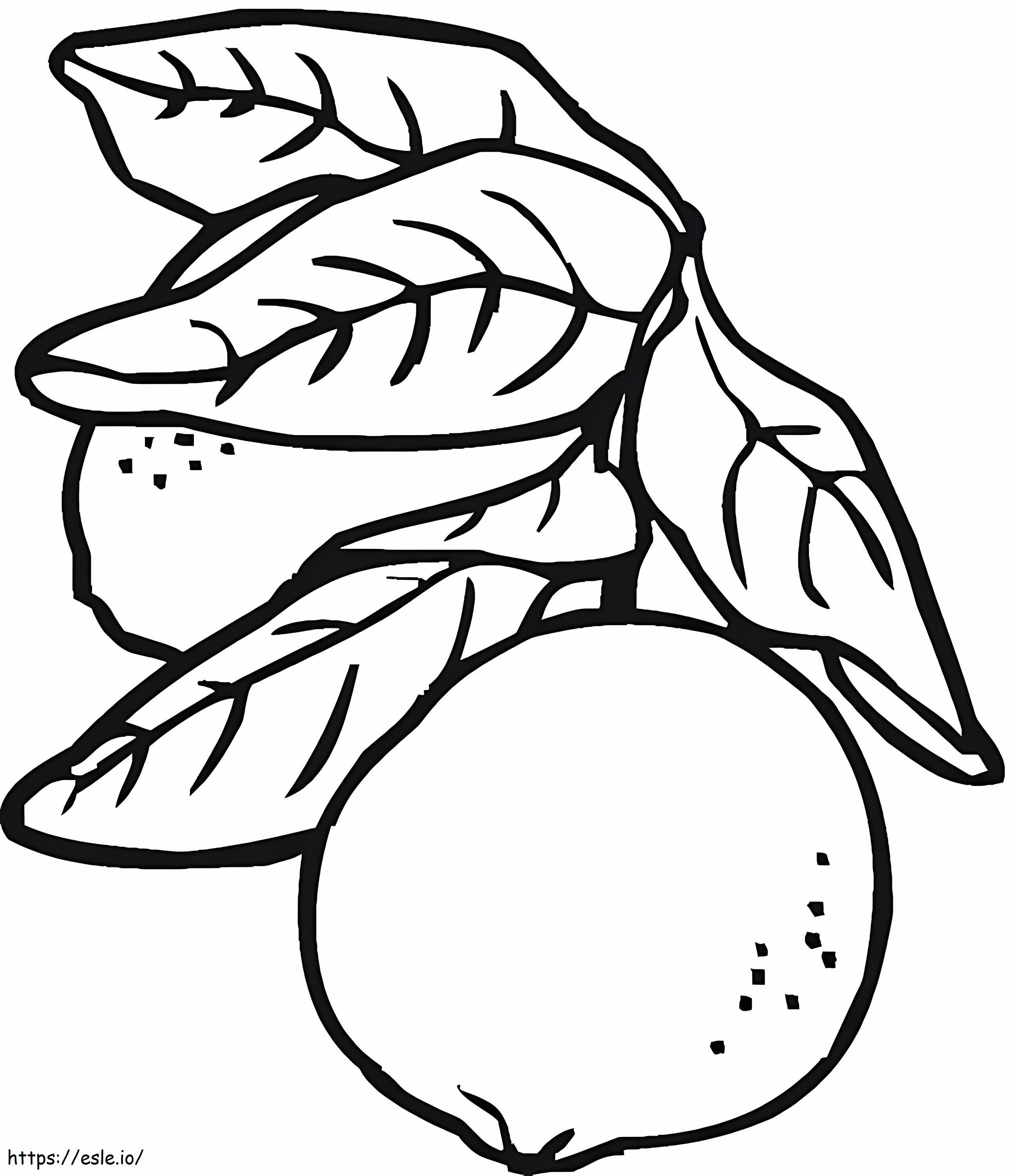 Dos limones con hojas para colorear