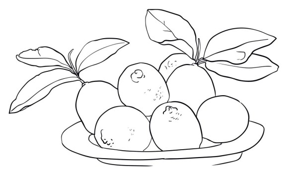 Dibujos de limones para colorear descargar e imprimir colorear imãgenes