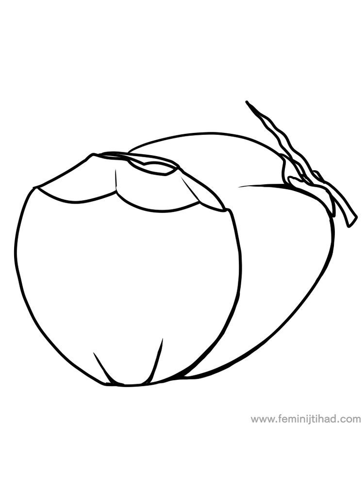 Coconut coloring page pdf vegetable coloring pag fruit coloring pag coloring pag