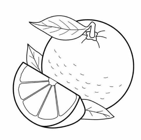 Fruits coloring pages