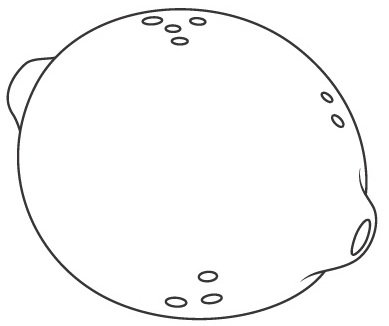Dibujos de limones para colorear