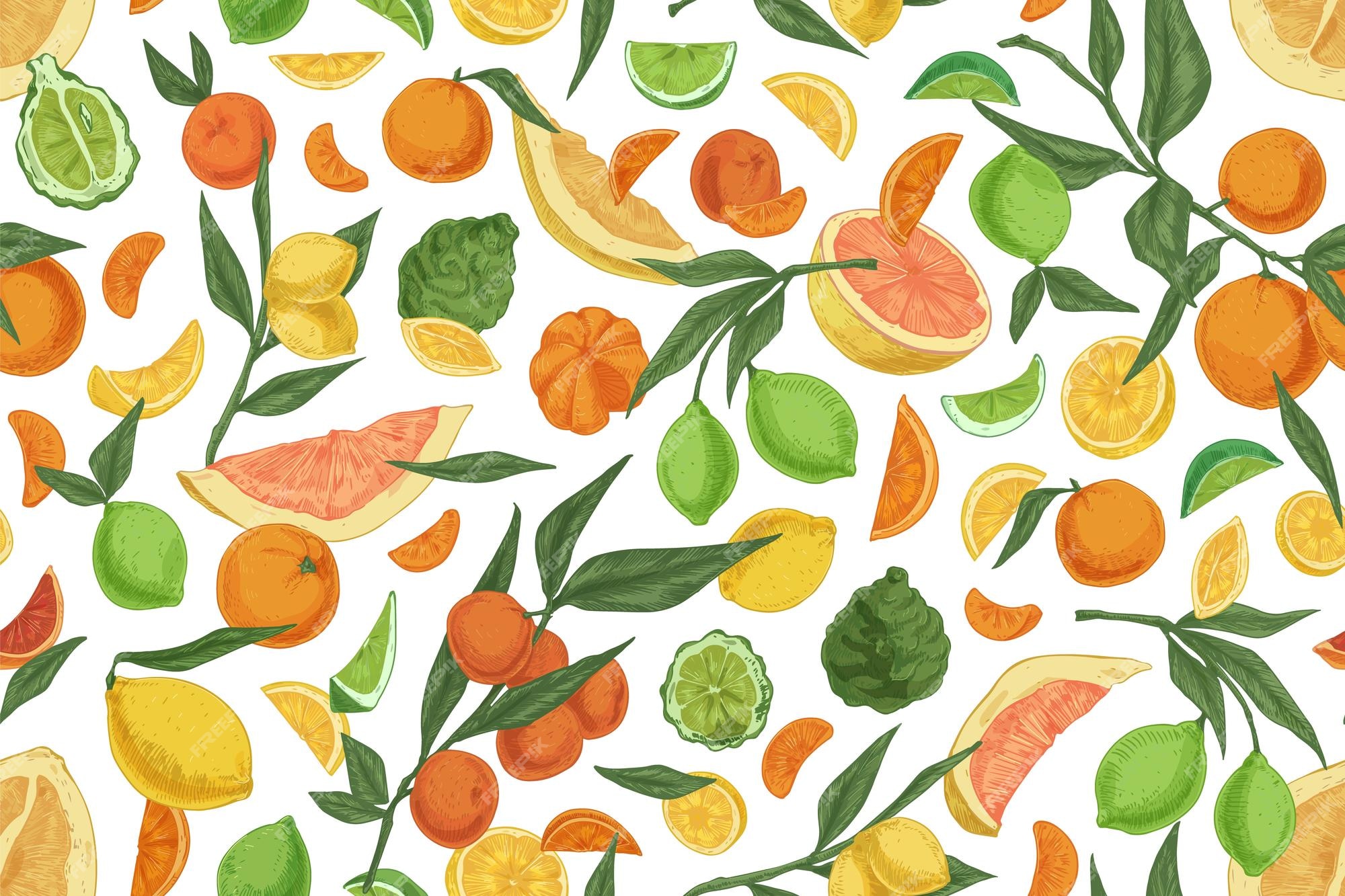 Patrãn sin costura con diferent cãtricos sobre fondo blanco textura interminable dibujada a mano con naranjas limon mandarinas bergamota y pomelos ilustraciãn vectorial de color para la impriãn vector premium
