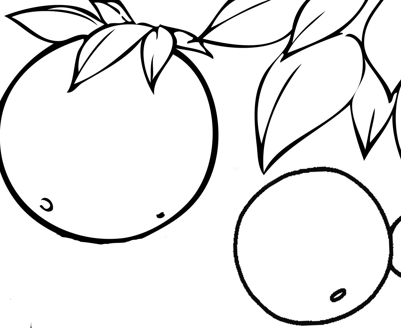 Dibujo para colorear con limones y hojas para imprimir y online
