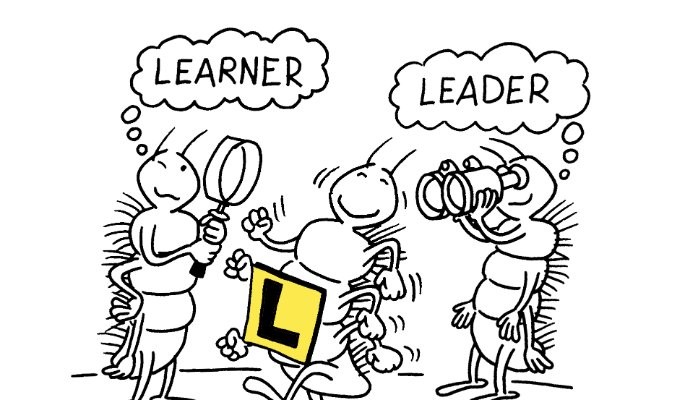 Do you have the mindset to lead change