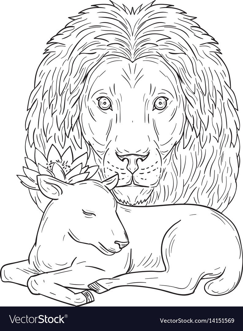 Lion watching over sleeping lamb drawing vector image
