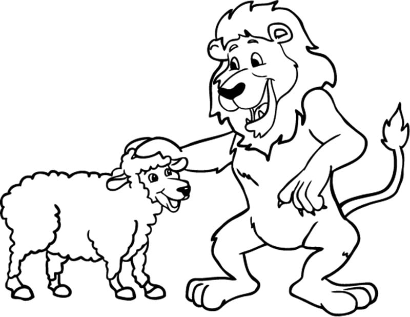 Eat a sheep