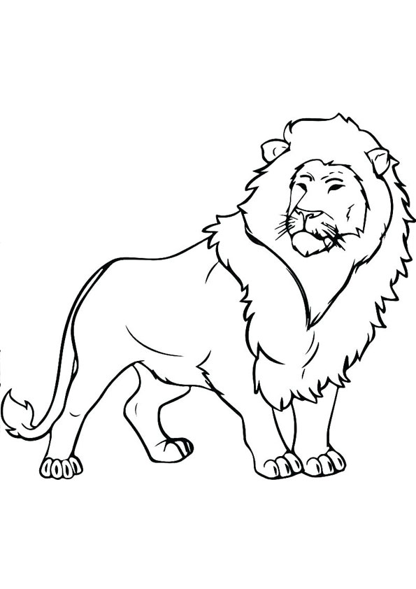 Coloring pages lion coloring page