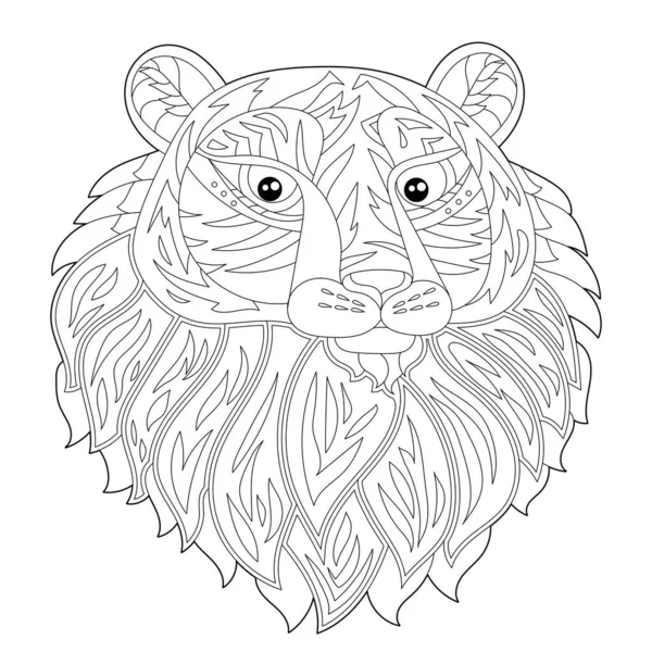 Lion coloring page stock photos royalty free lion coloring page images