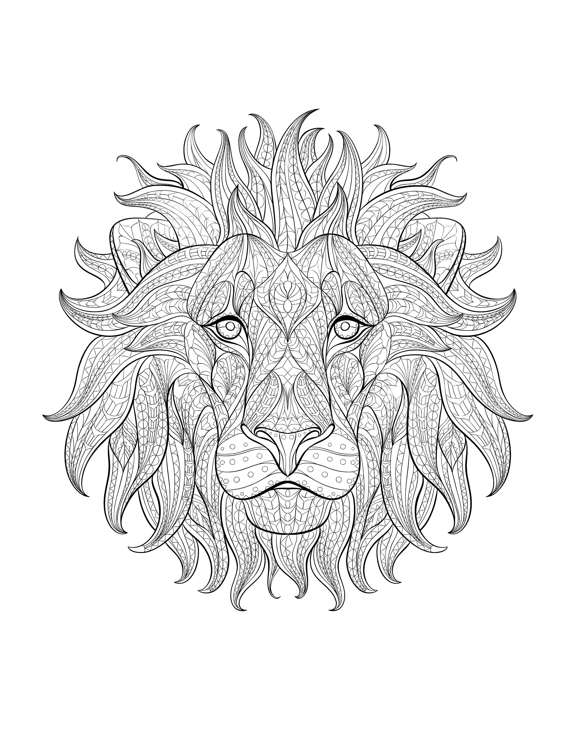 Lion head