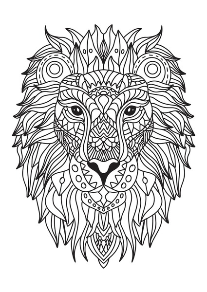 Adult coloring lion images stock photos d objects vectors