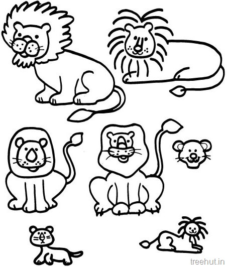 Lion and lion face colorg pages