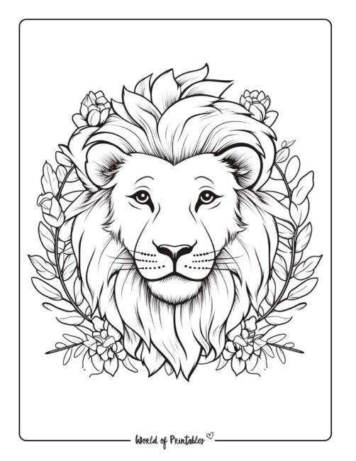 Lion coloring pages for kids adults