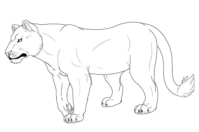 Lion