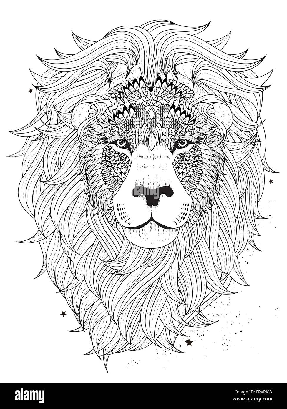 Attractive fluffy lion head