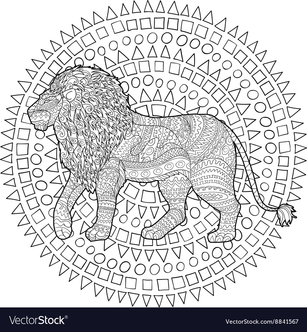 Adult coloring page for antistress with lion vector image