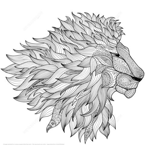 Lion zentangle coloring page free printable coloring pages