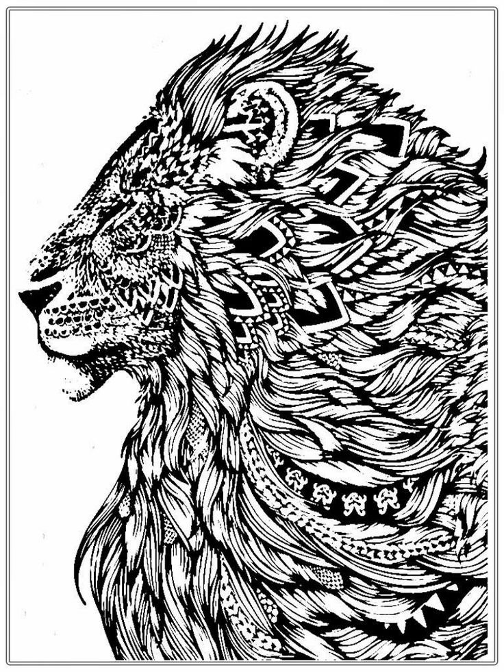 Abstract coloring pages lion coloring pages free adult coloring pages