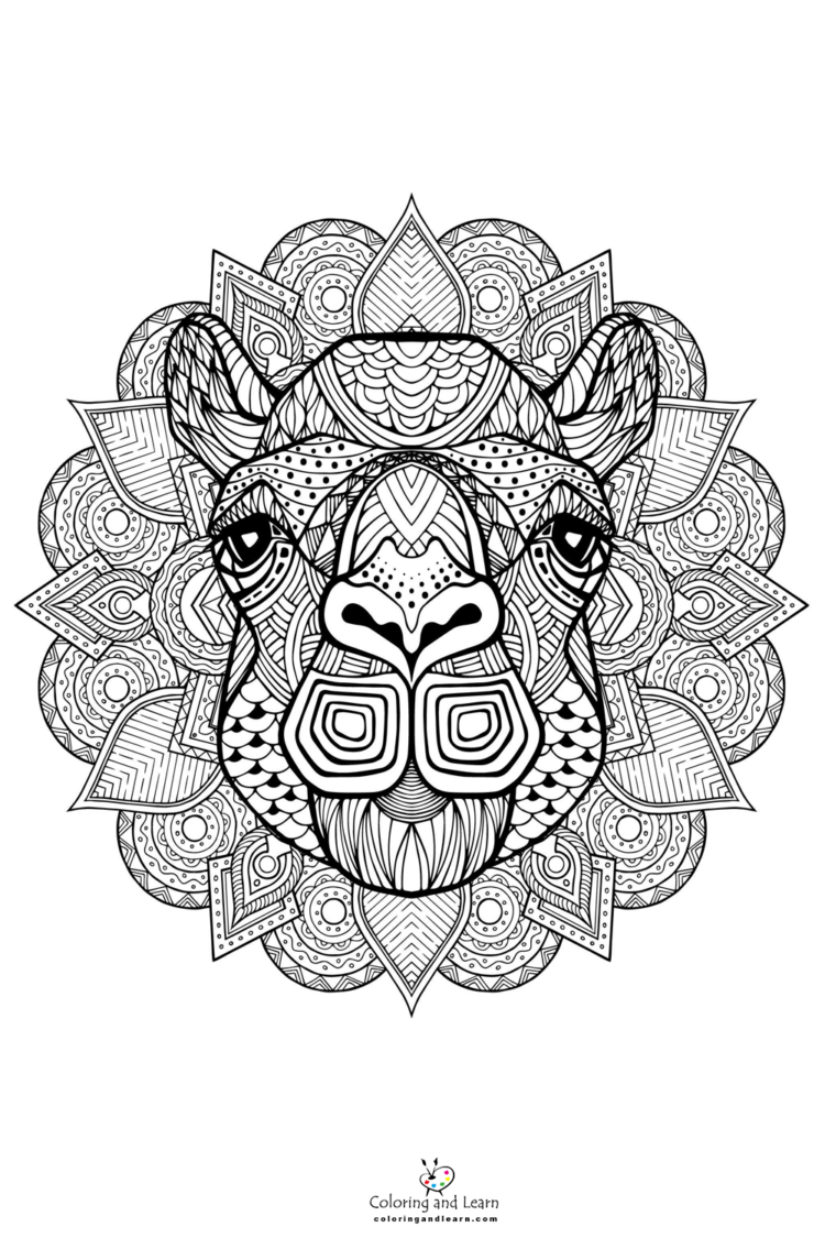 Adult coloring pages