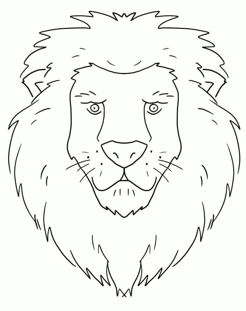 Lion face