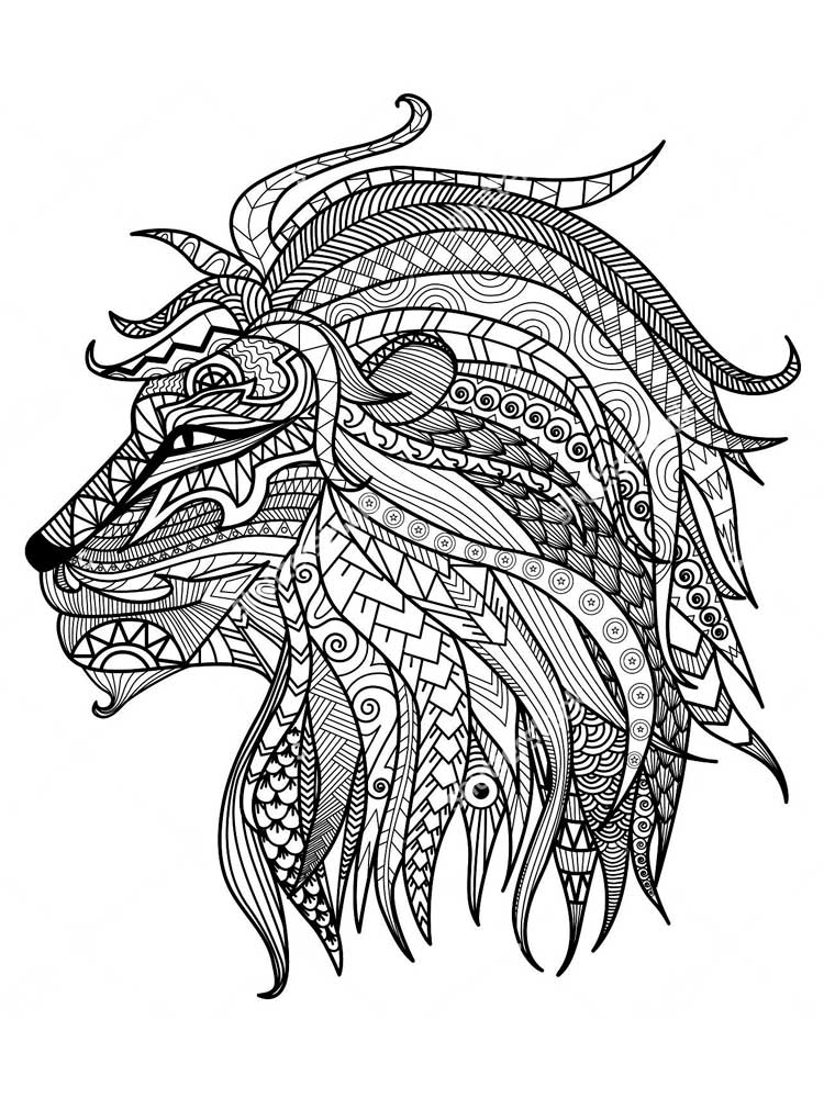Lions head in profile coloring page