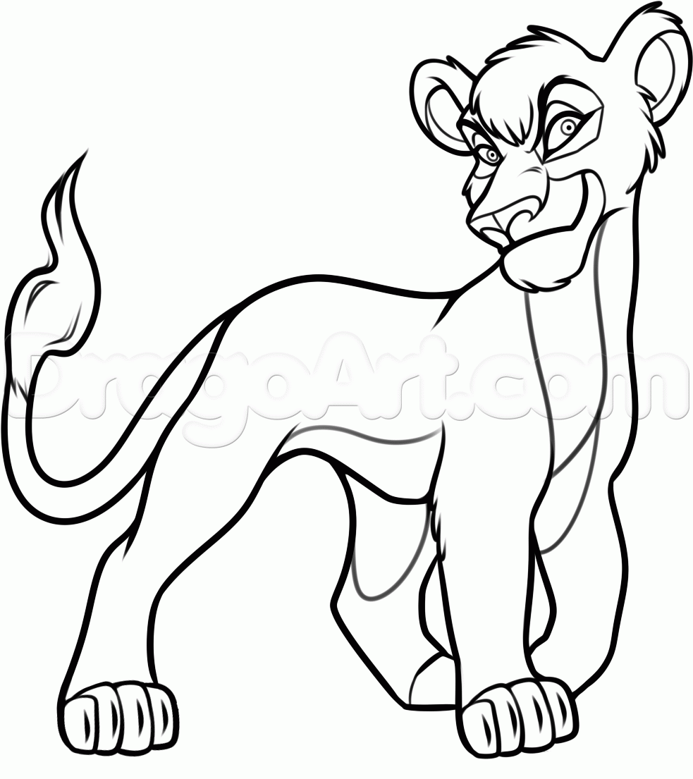 How to draw vitani step lion king drawings lion king art disney drawings
