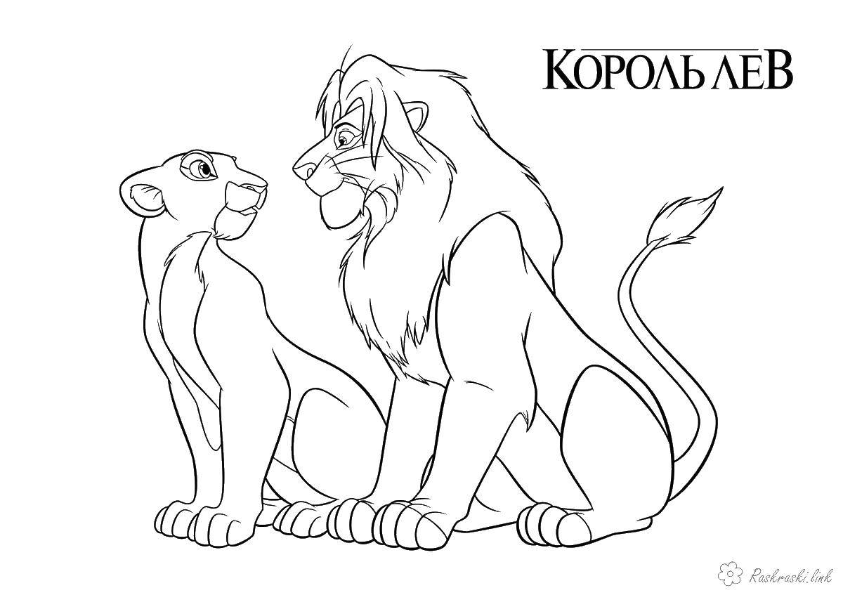 Online coloring pages coloring page lions wild animals download print coloring page