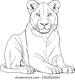 Lioness colouring book kids vector illustration stock vector royalty free