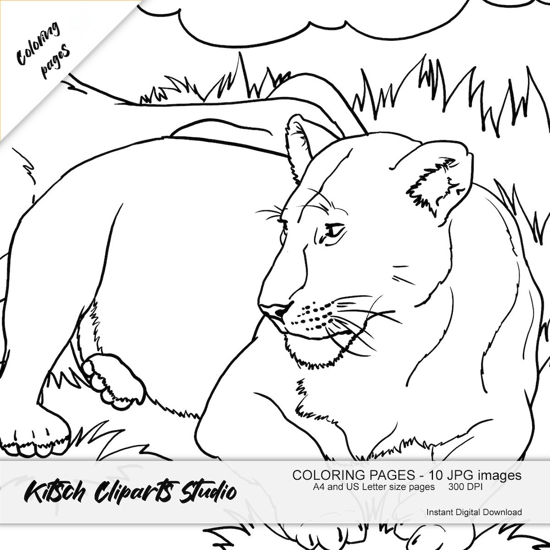 Lions digital download coloring pages digital download sublimation design jpg pages simple image africa animals cub lion nature