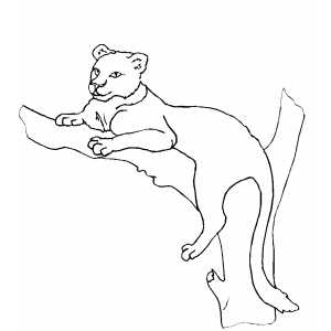 Lioness resting by tree coloring page