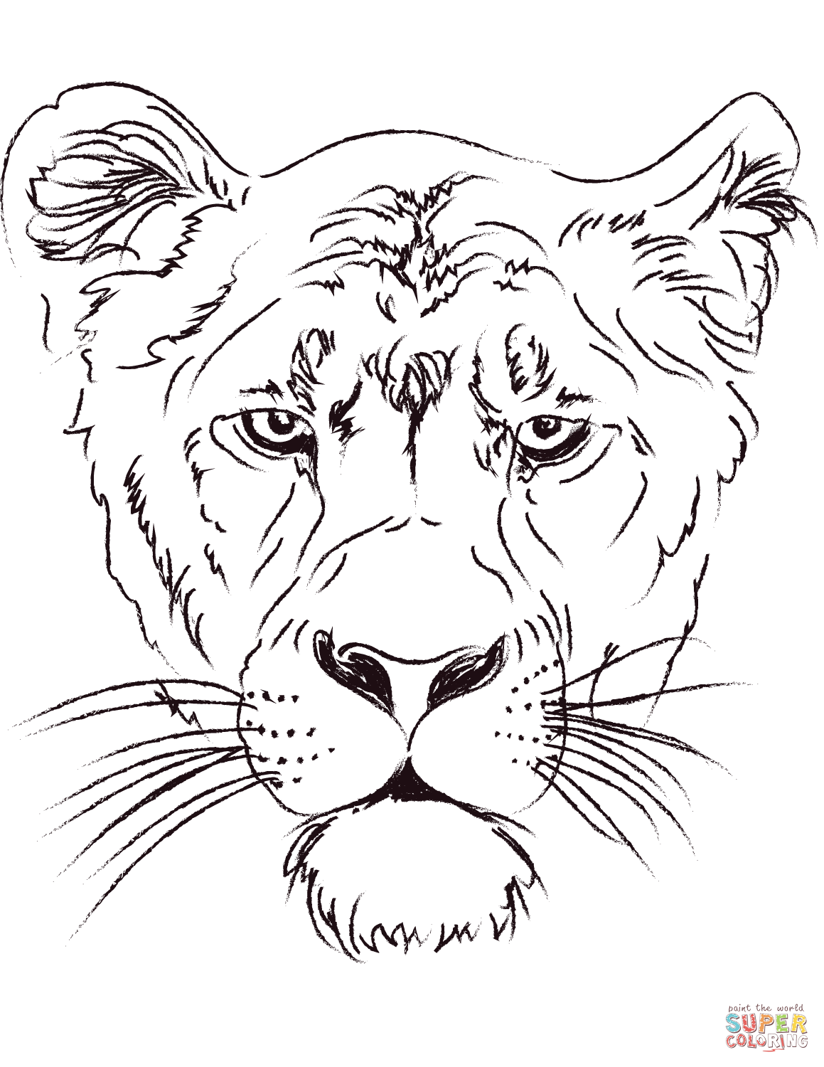 Lioness head coloring page free printable coloring pages