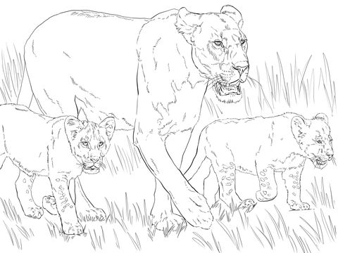 Lioness with cubs coloring page from lions category select from printable crafts of cartoonsâ animal coloring pages lion coloring pages cat coloring page