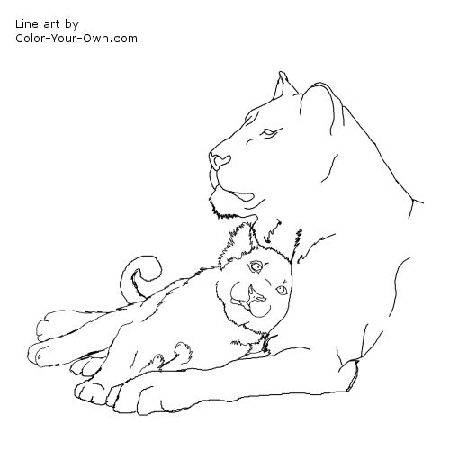 African lioness with cub