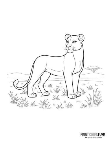 Lion clipart coloring pages with fun crafts facts activities for curious kids at