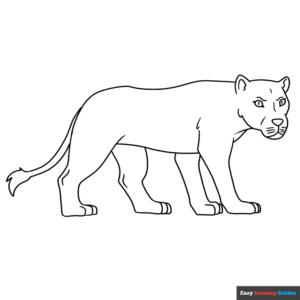 Lioness coloring page easy drawing guides