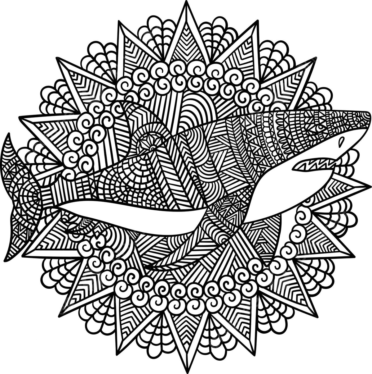 Adult mandala coloring page featuring a majestic great white shark vector shark drawing man drawing ring drawing png and vector with transparent background for free download