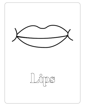 Premium vector human body part coloring pages for kids premium vector
